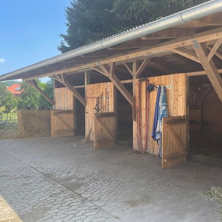 Luises Ferienglueck Lägenhet Vernawahlshausen Exteriör bild
