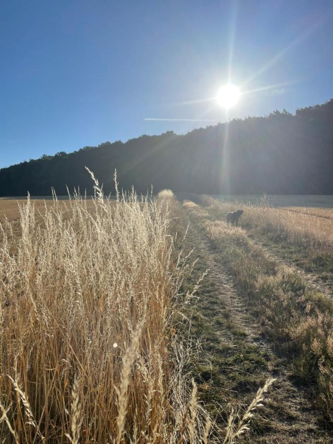Luises Ferienglueck Lägenhet Vernawahlshausen Exteriör bild