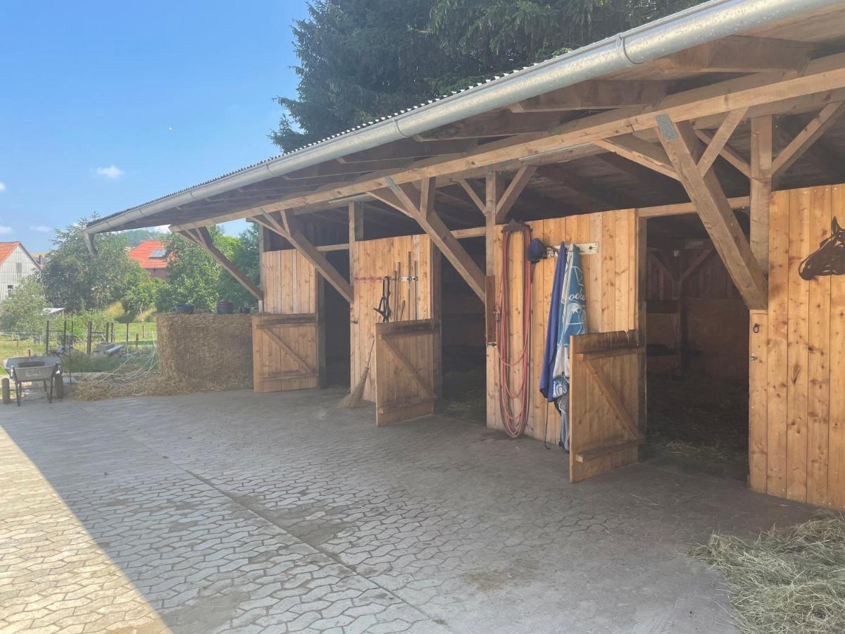 Luises Ferienglueck Lägenhet Vernawahlshausen Exteriör bild