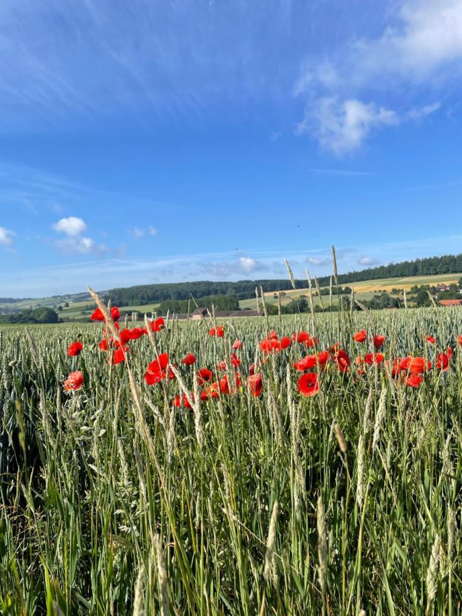 Luises Ferienglueck Lägenhet Vernawahlshausen Exteriör bild