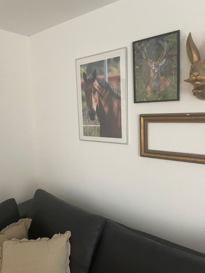 Luises Ferienglueck Lägenhet Vernawahlshausen Exteriör bild